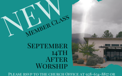 Discover Your Place in Our Church Family